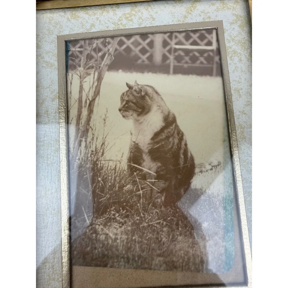Vintage Sepia Cat Print in‎ Gold Tone Metal Picture Frame 4.75 x 6.25